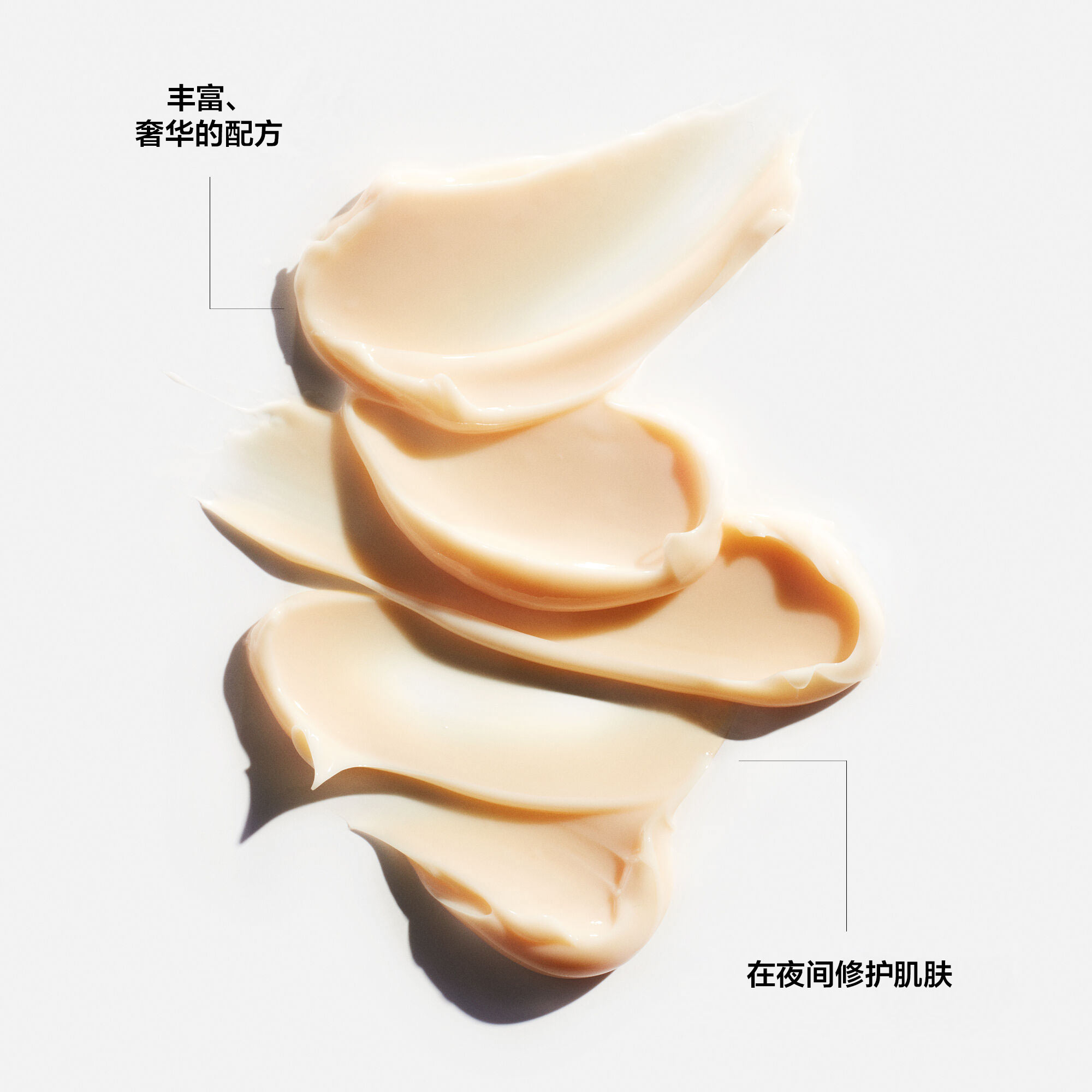 【新品未開封】 DESIRE:UNLEASH 10個セット TOTAL REGENERATING CREAM - FUTURE SOLUTION LX | SHISEIDO