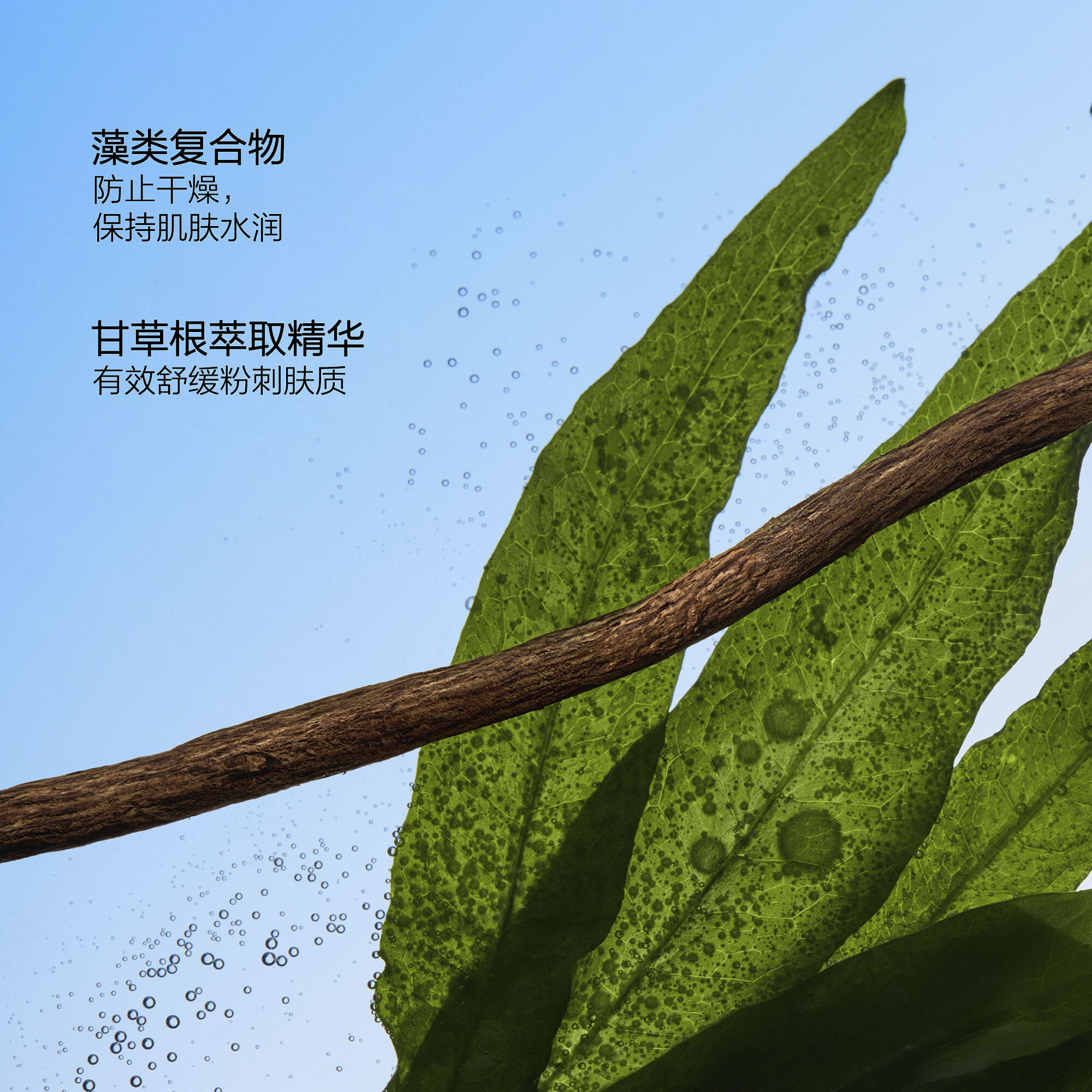 Ultimate Sun Active Sun Protection套装（价值81美元），