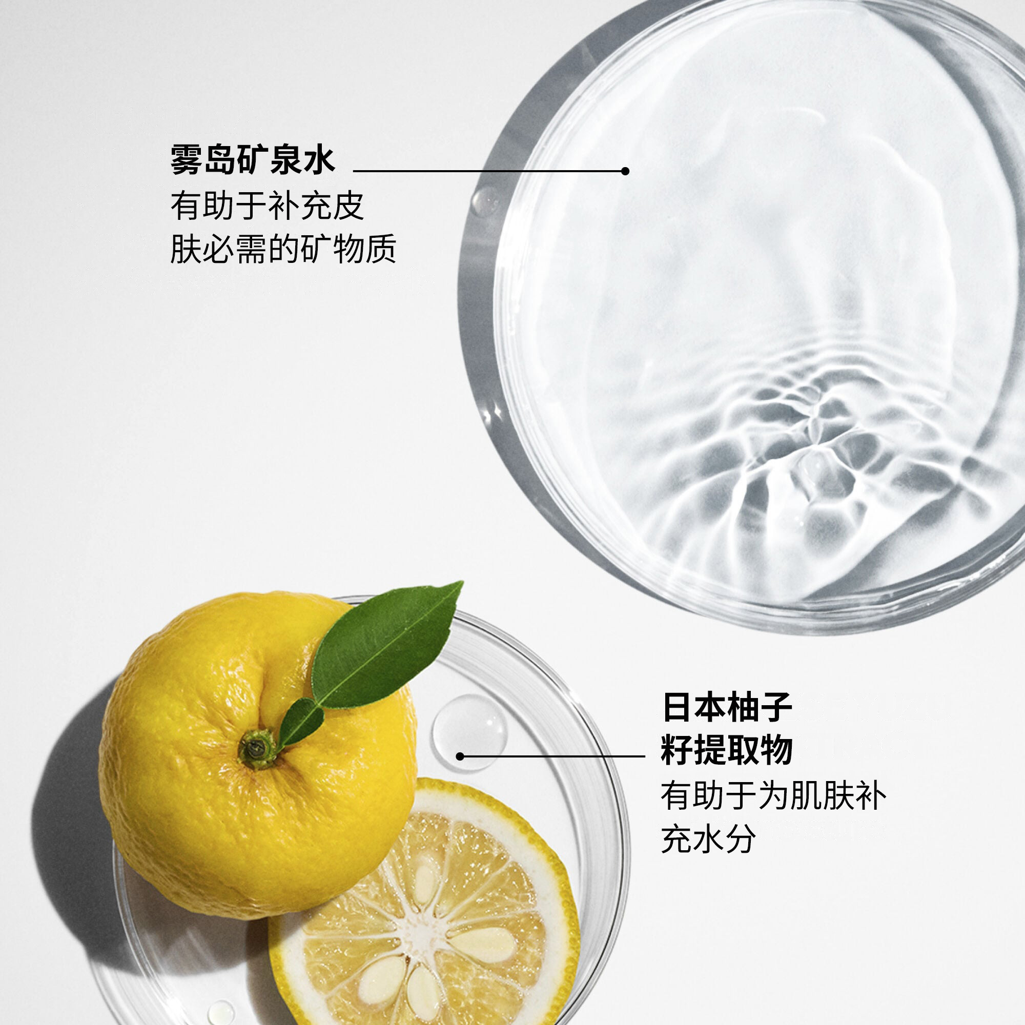 Treatment Softener Enriched（适合中性、干性和超干性肤质），