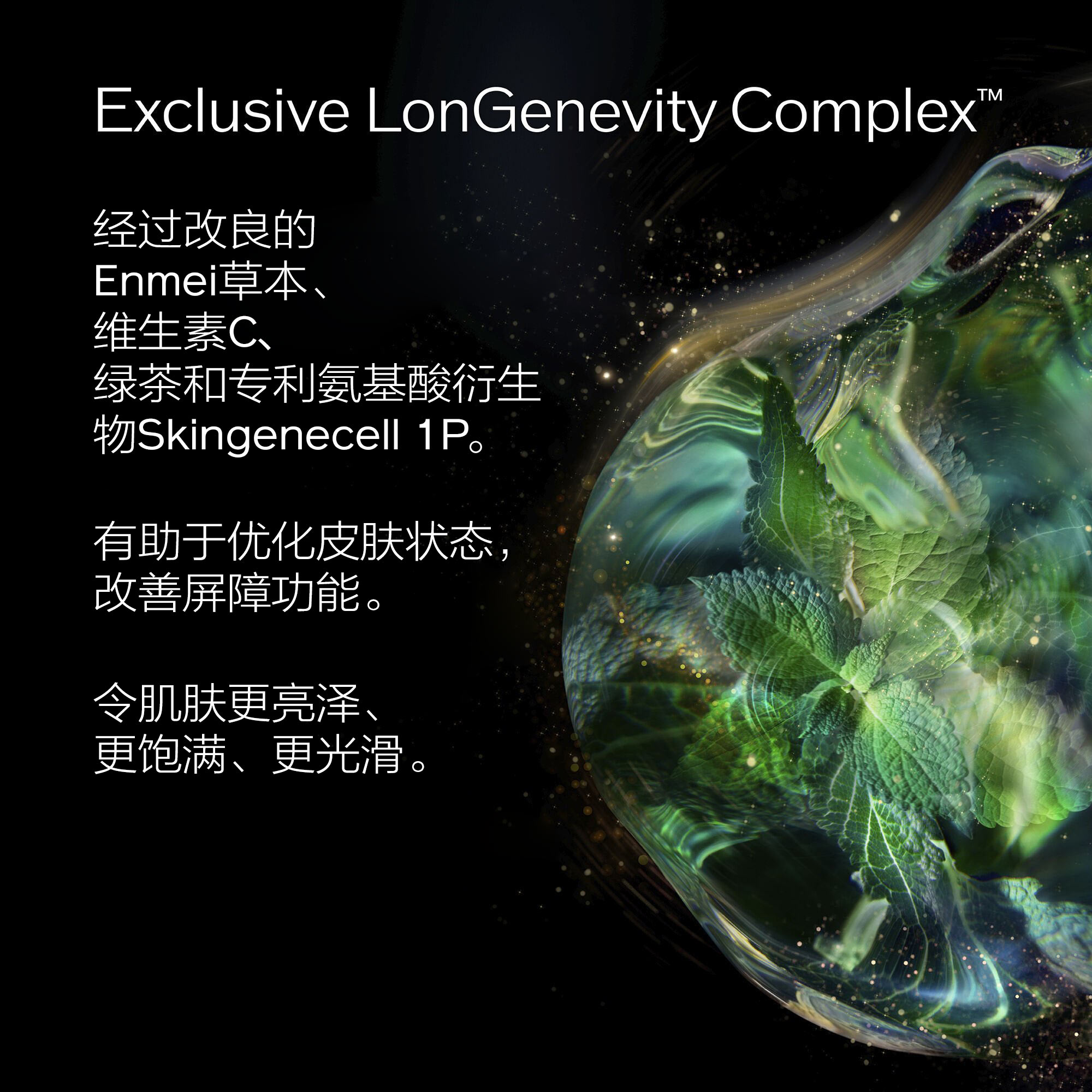 Regenerating Ritual套装（价值282美元），