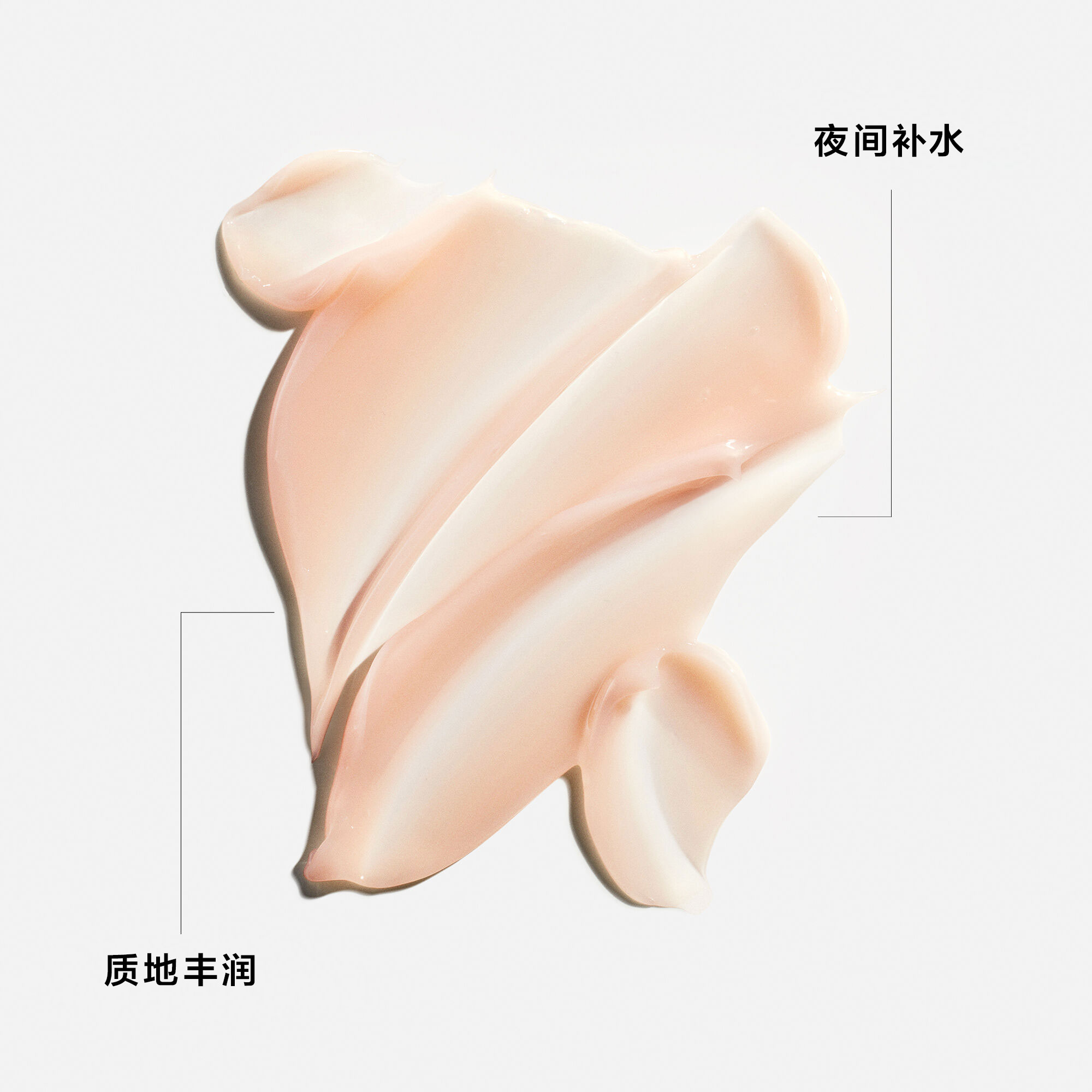 Brightening & Hydrating Night Cream Skincare套装| SHISEIDO