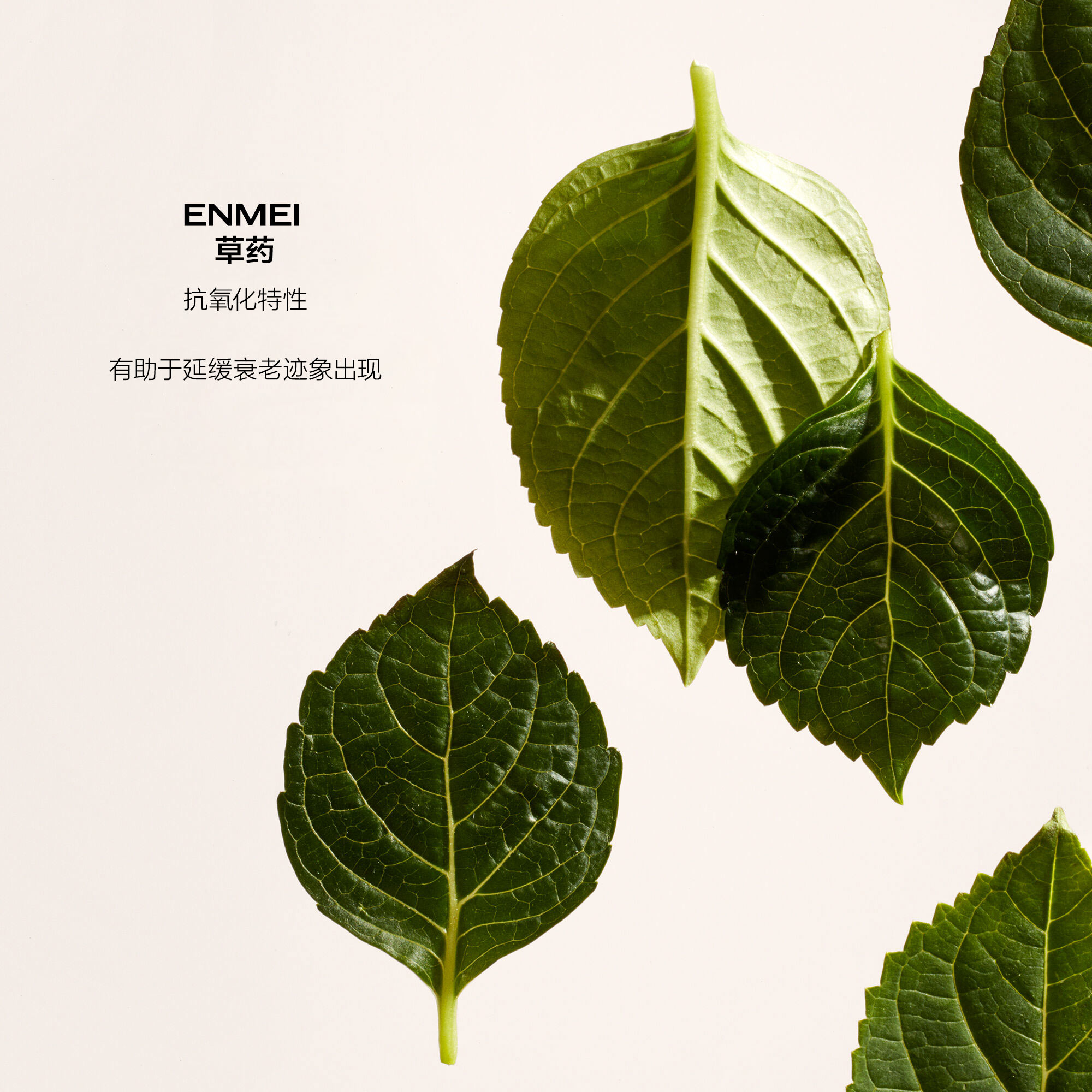 Eye and Lip Contour Regenerating Cream、