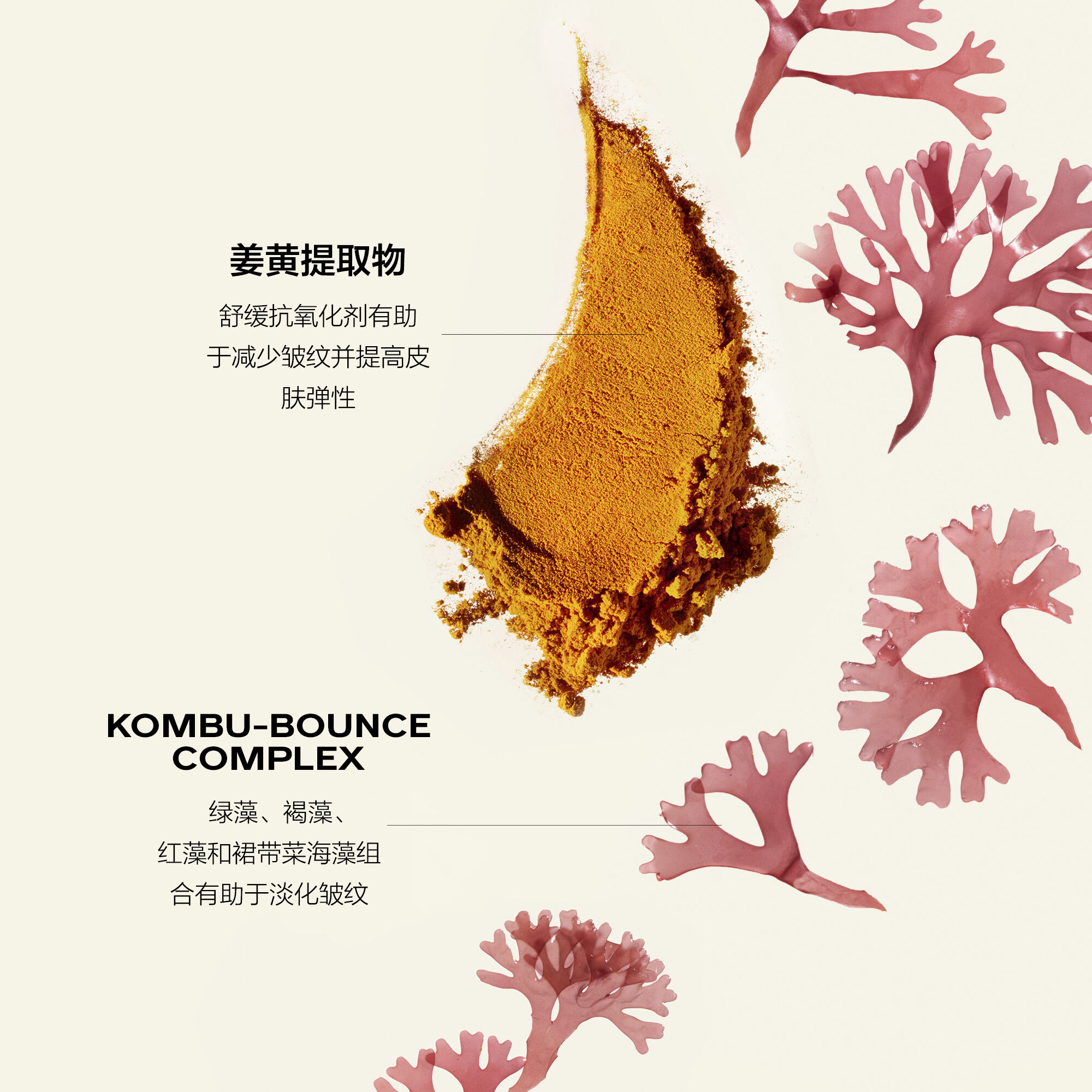 Wrinkle Smoothing Ritual套装（价值133美元），