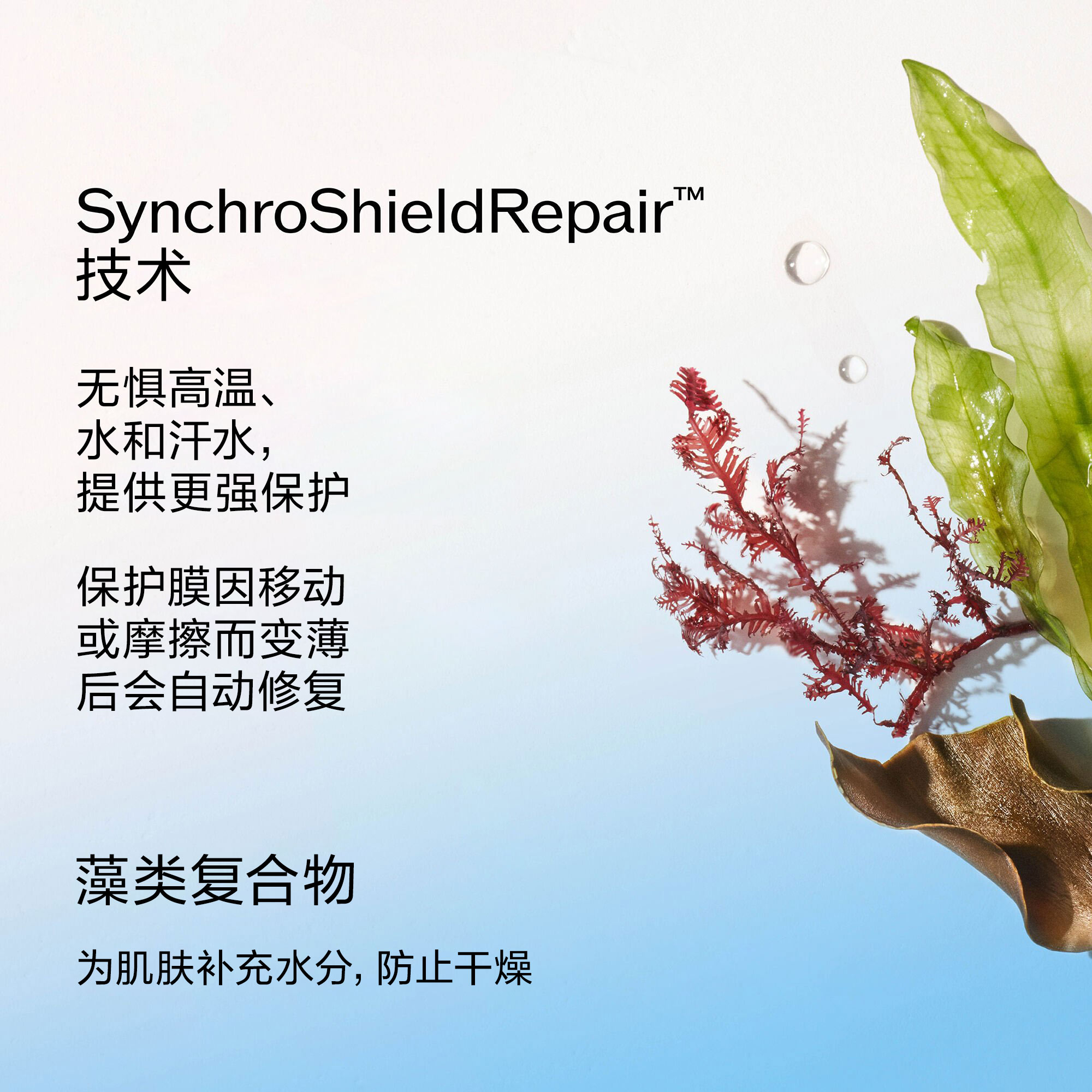 详细介绍SynchroShieldRepair技术的信息图。该技术能提供经受热、水和汗水考验的高级防护，且当保护层因活动或摩擦而变薄时，可自动修复。下方文字描述了藻类复合物具有保湿肌肤、帮助防止干燥的功效，并配有绿色、红色及褐色的海藻叶片图案作为示意图。