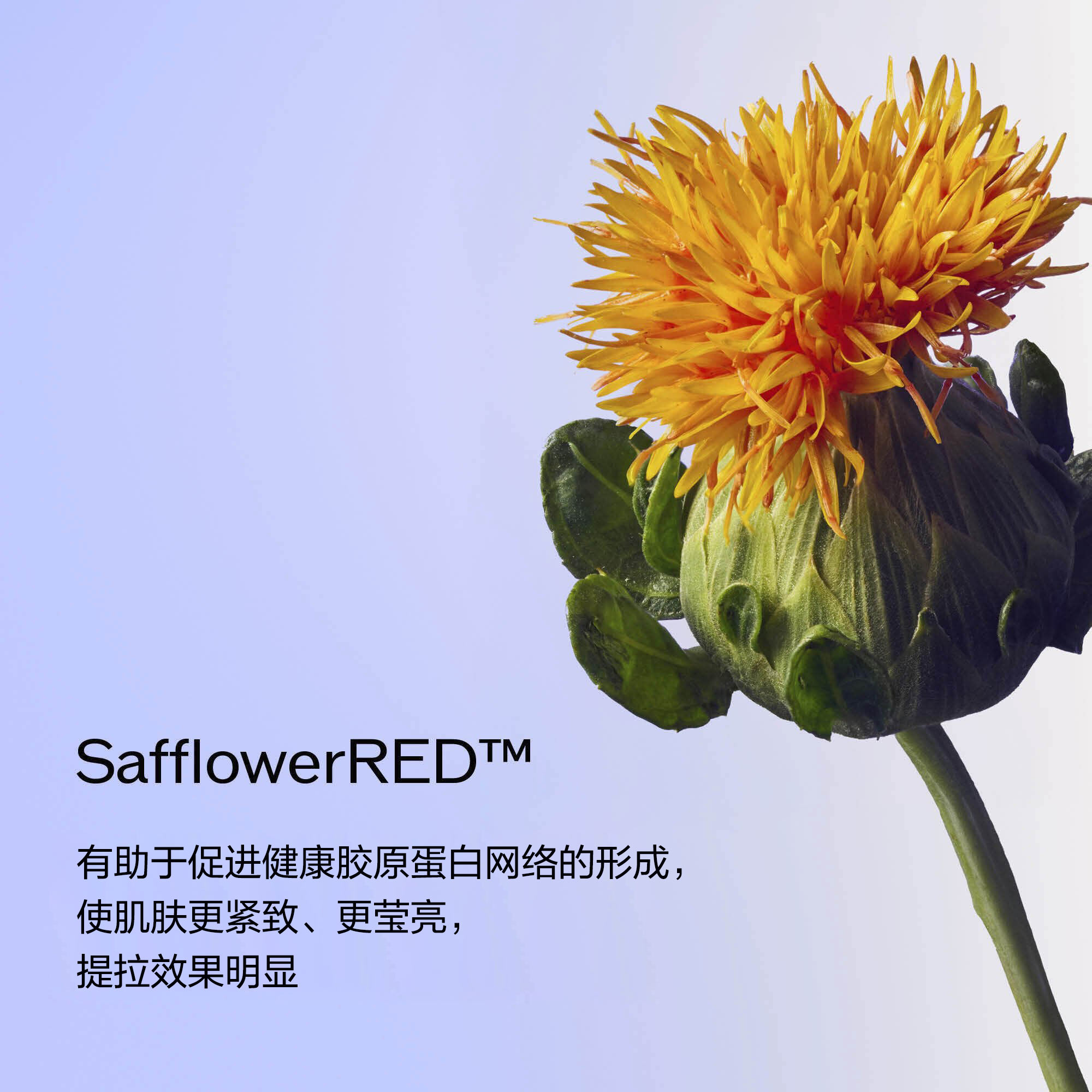 Uplifting and Firming Advanced Day Cream SPF 30,