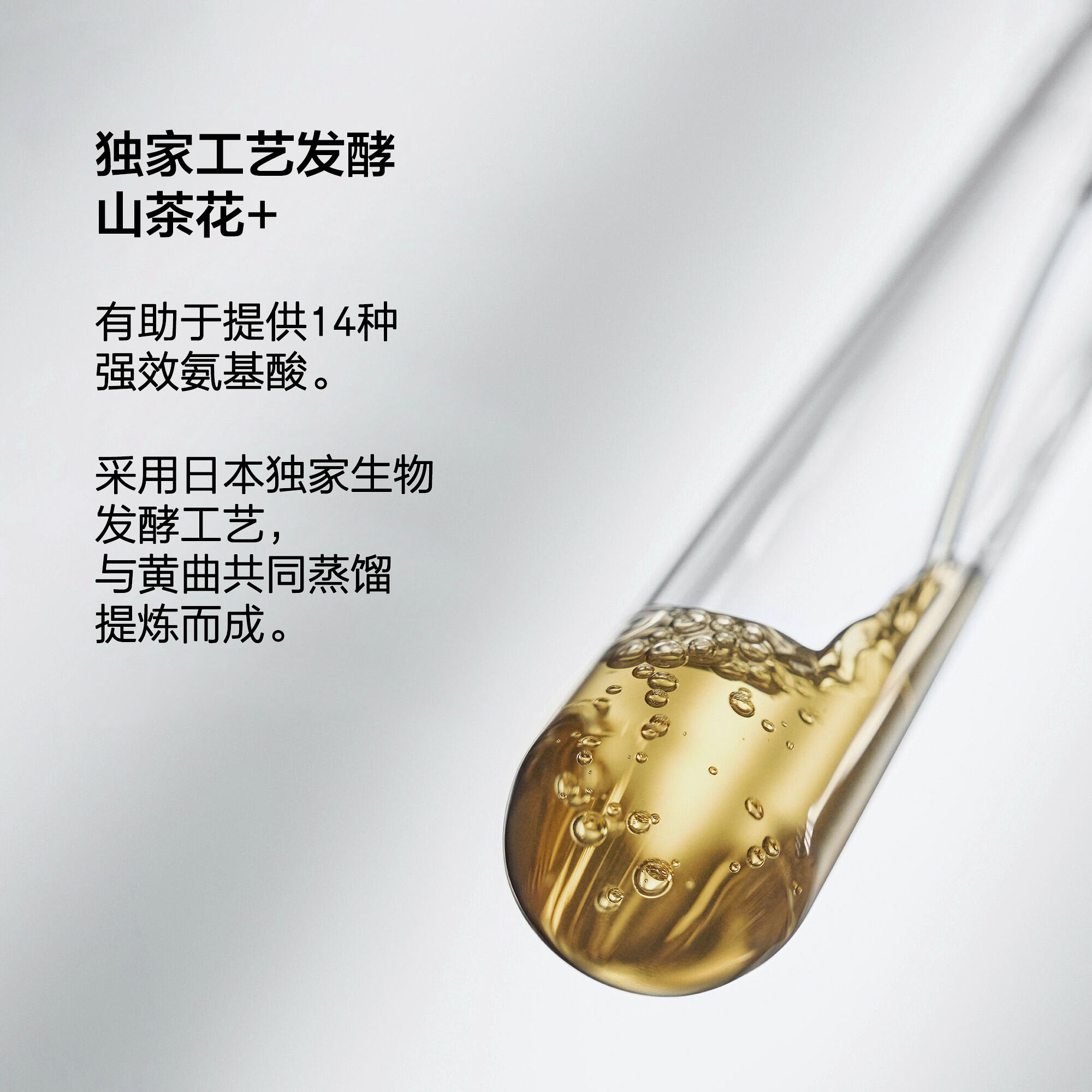 一支透明试管中盛放着带有气泡的金色、液体，浅色背景。旁边文字：‘独家工艺发酵Camellia+。有助于提供{#0}种强效氨基酸。通过日本独家生物发酵工艺，与黄曲共同蒸馏提炼而成。’