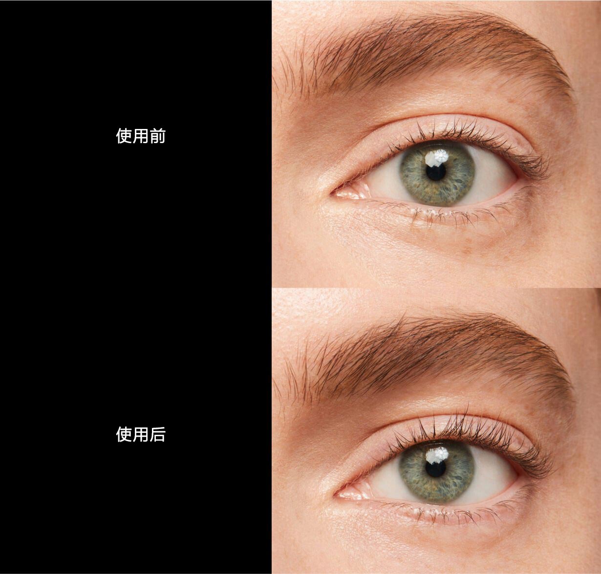 Eyelash Curler，