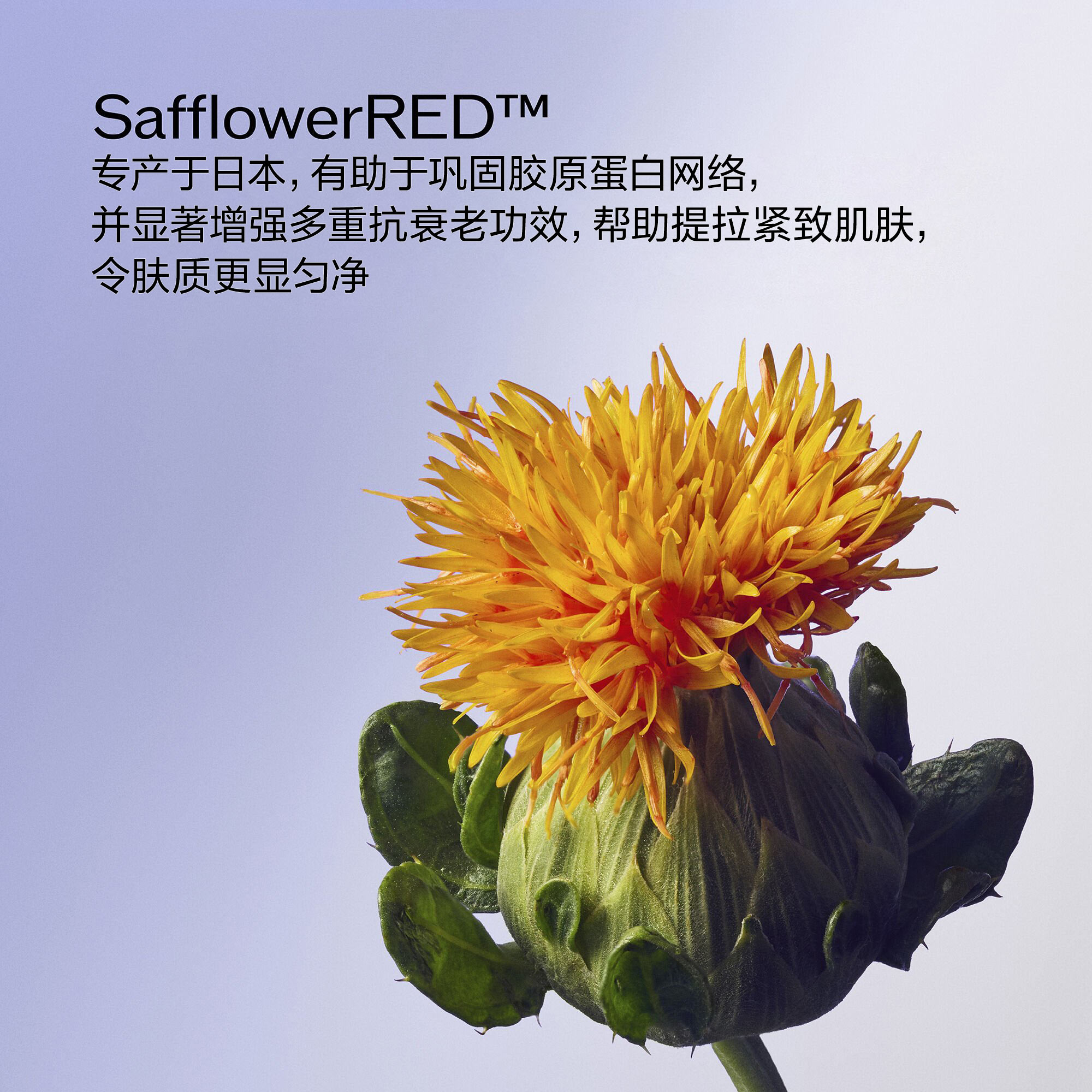 Advanced Lifting & Firming套装（价值223美元），