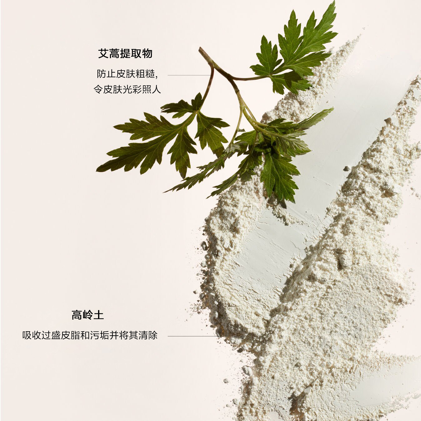 Clarifying Cleansing Foam,