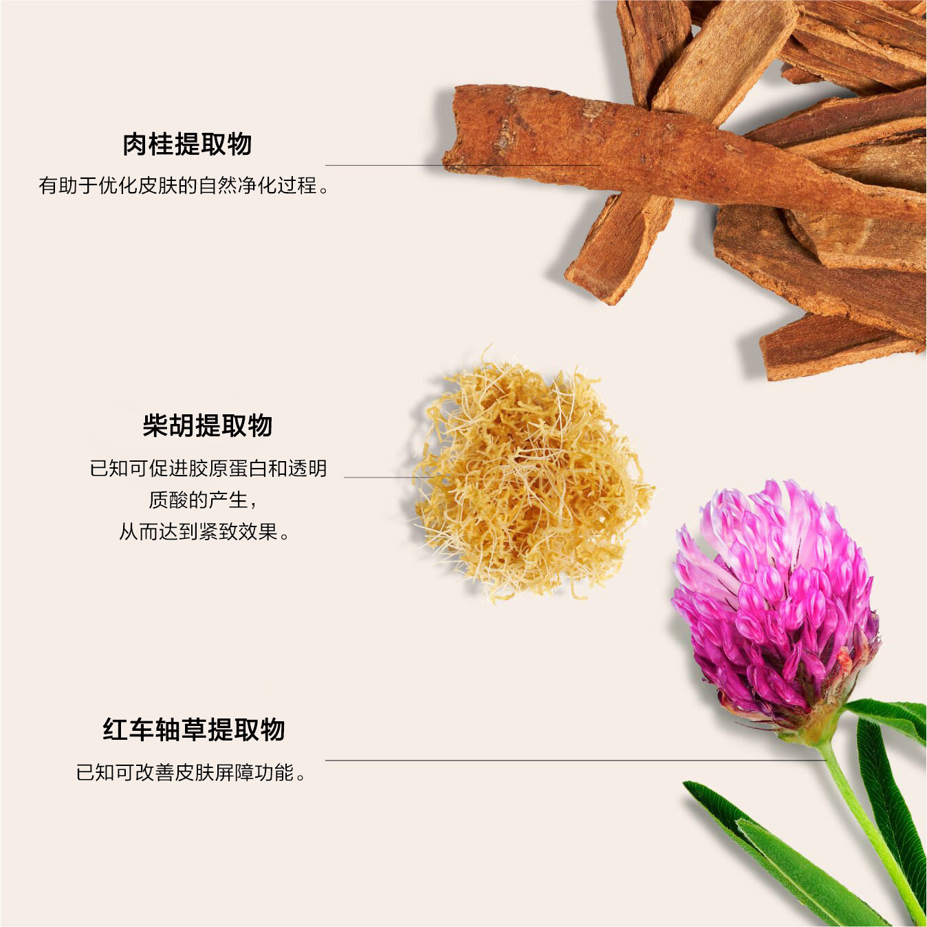 Skin Filler Serums,