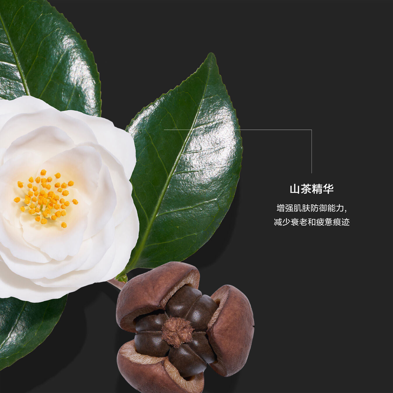 Ultimune Power Infusing Serum（男士），