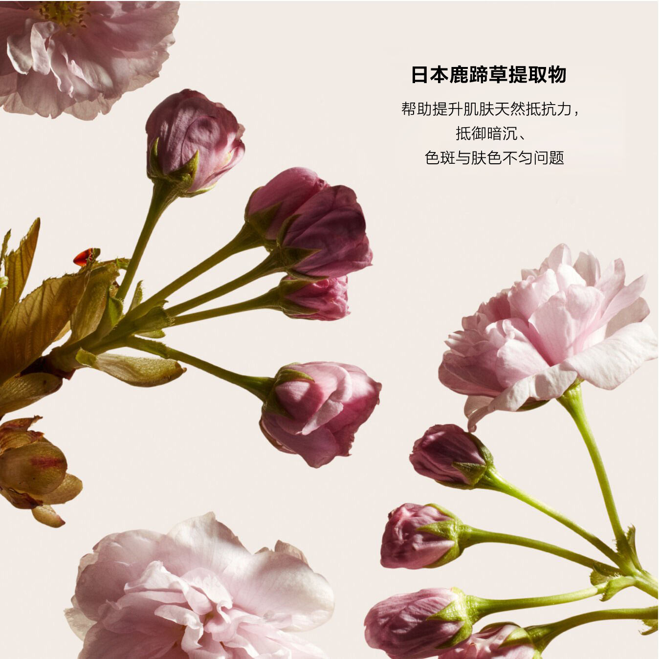 Brightening Gel Cream,