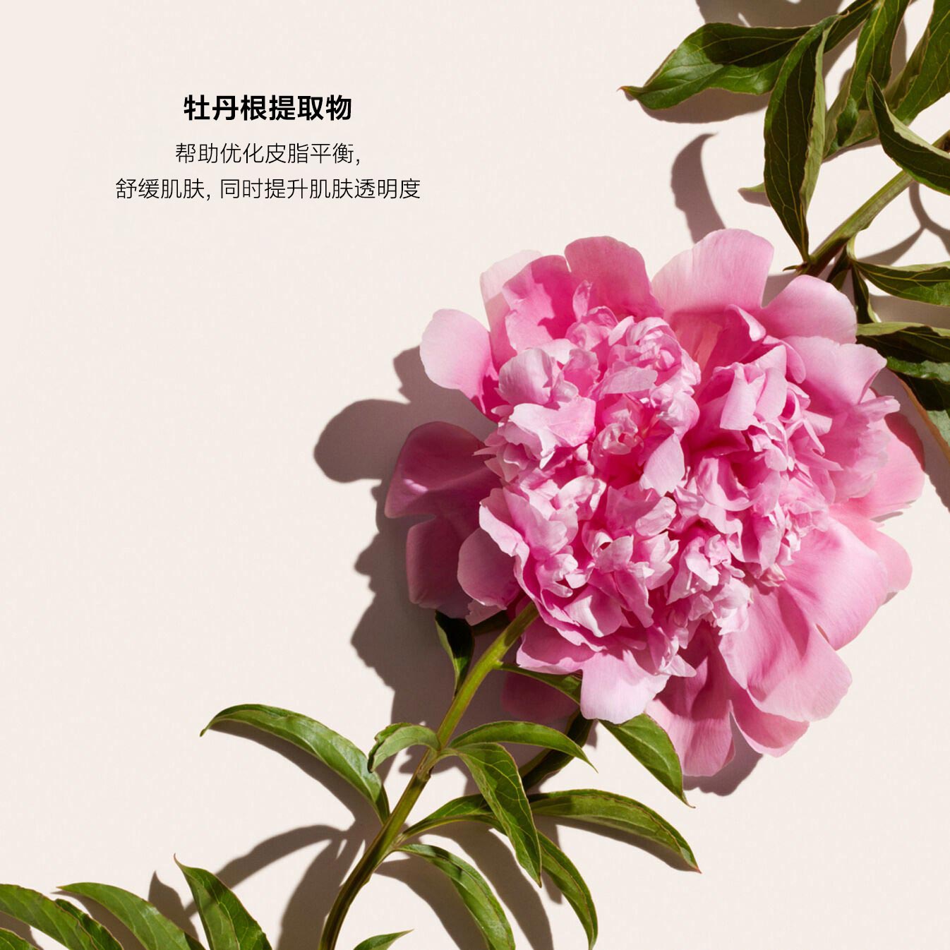 Deep Cleansing Foam，