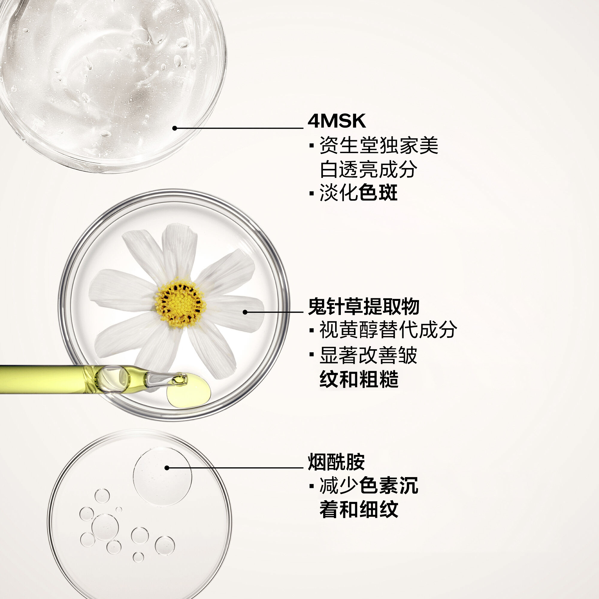 Dark Spot and Wrinkle Smoothing Serum，