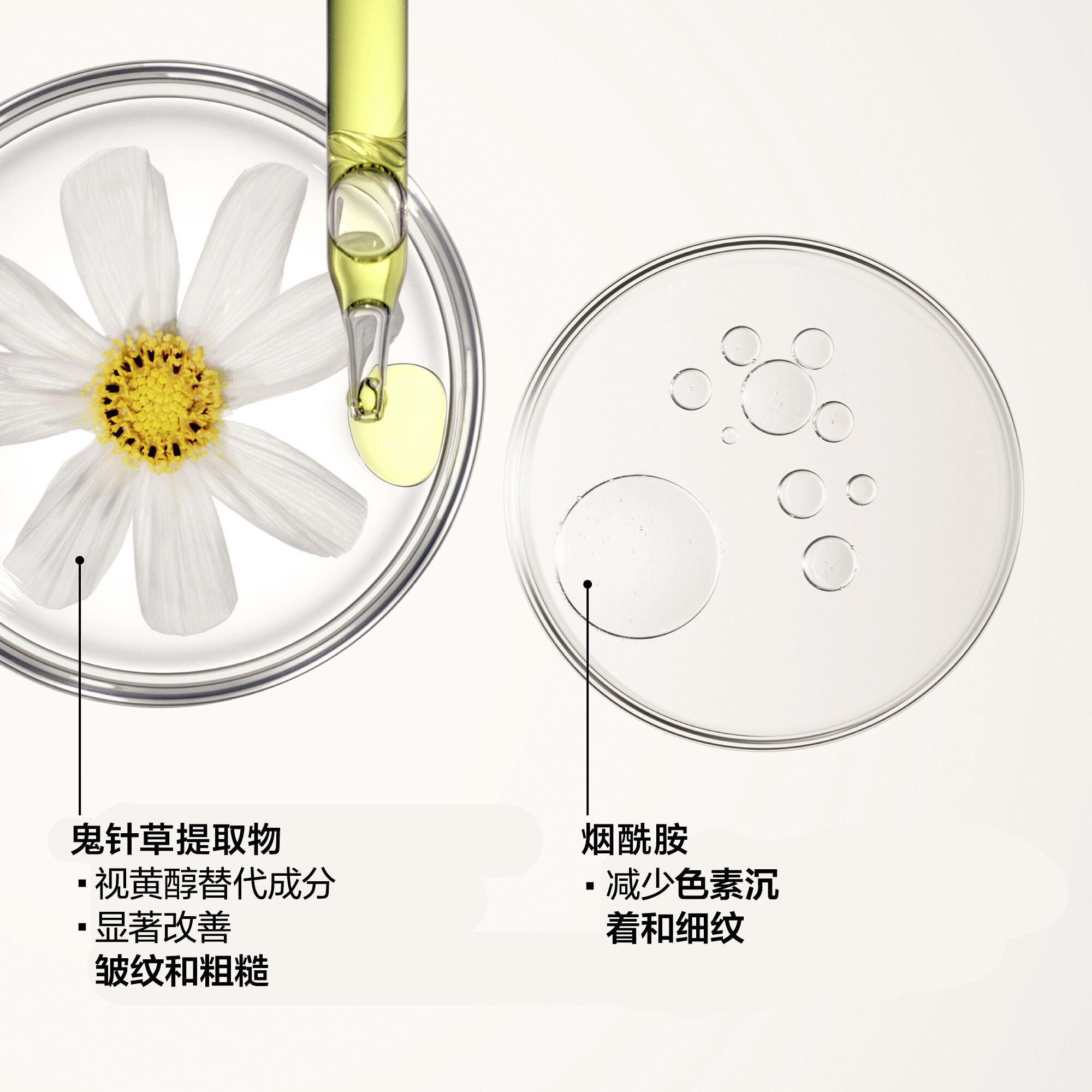 Brightening and Wrinkle Smoothing Cream，