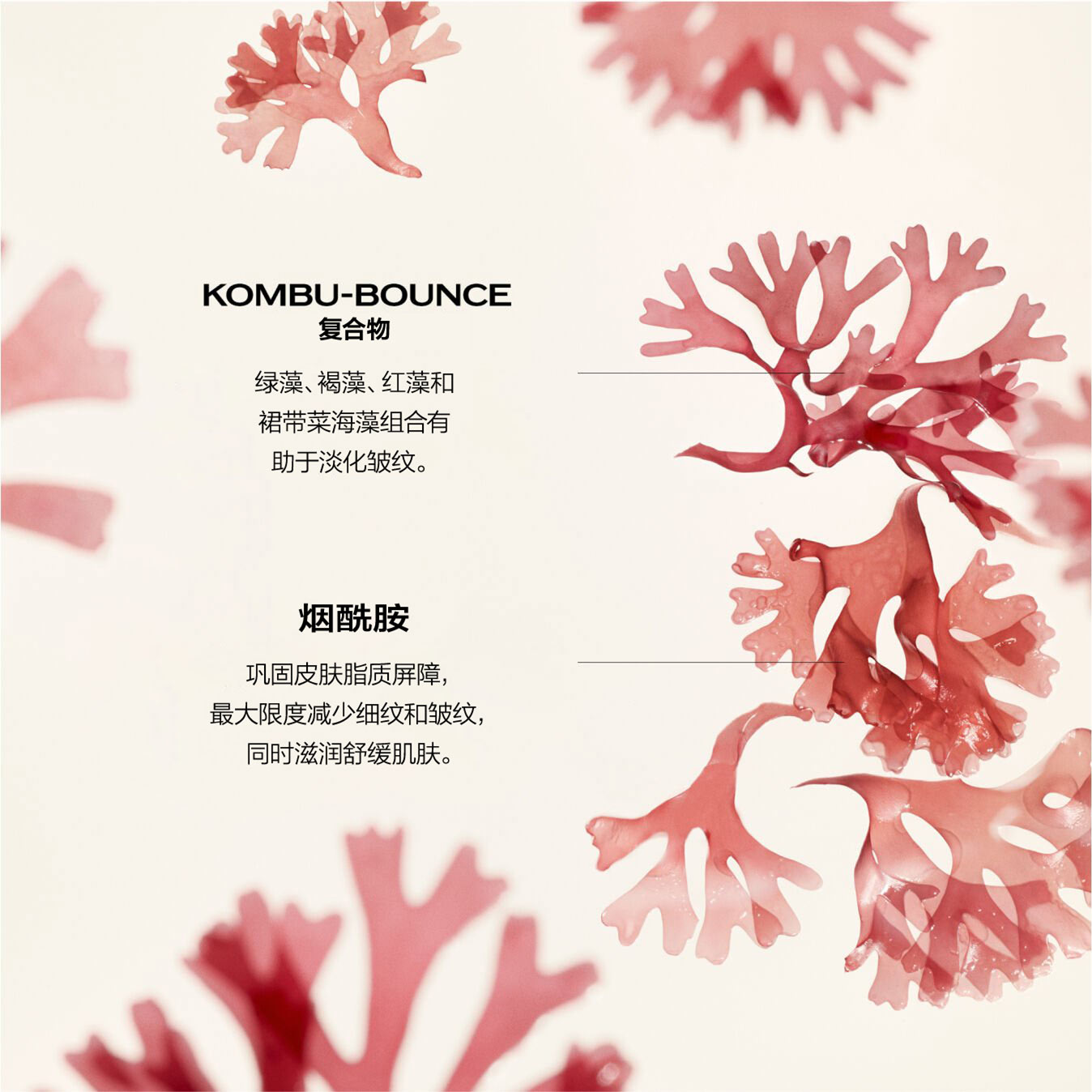 Wrinkle Smoothing Cream Enriched,