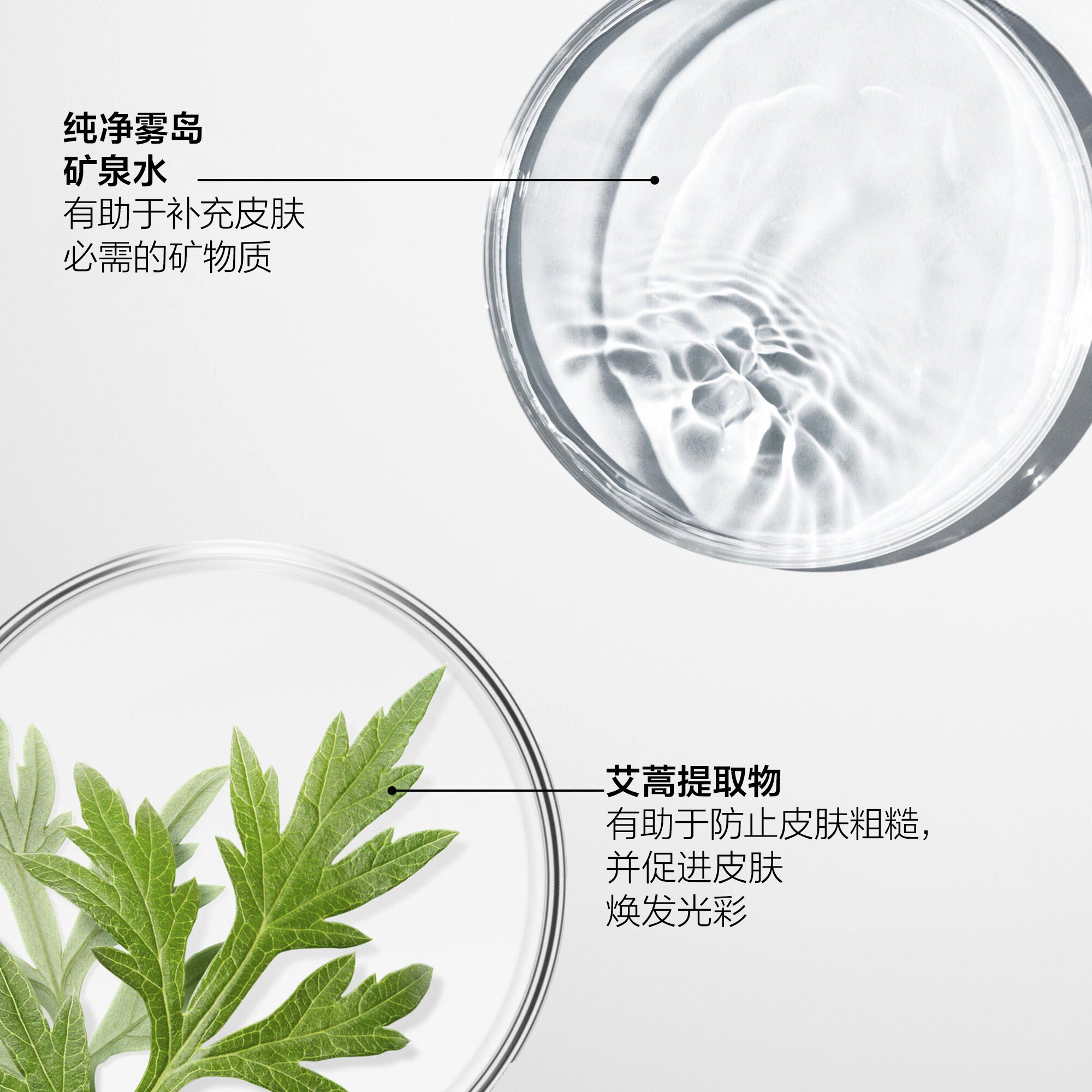 Treatment Softener（适合中性和混合至油性肤质），