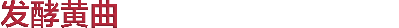 发酵黄曲