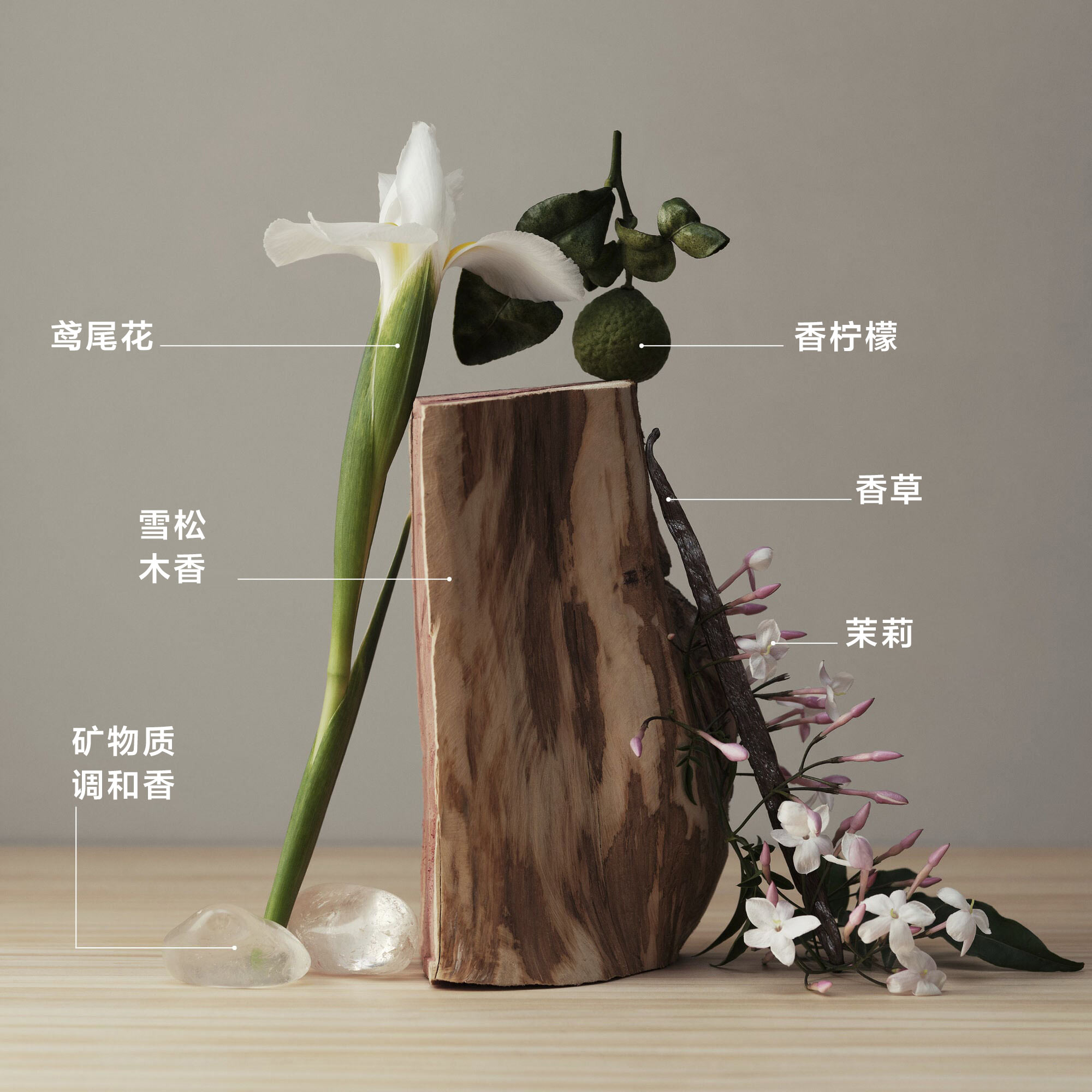 精华香水