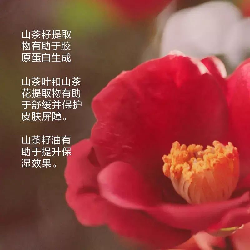 Power Infusing Serum（节日限量版），