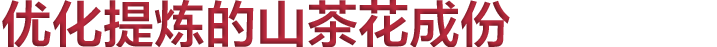 优化提炼的山茶花成份