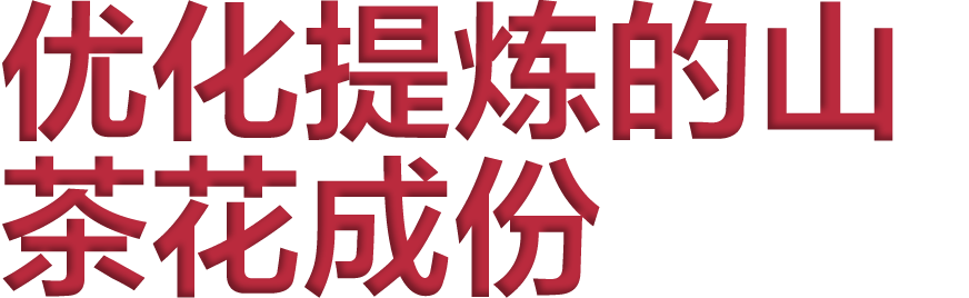 优化提炼的山茶花成份